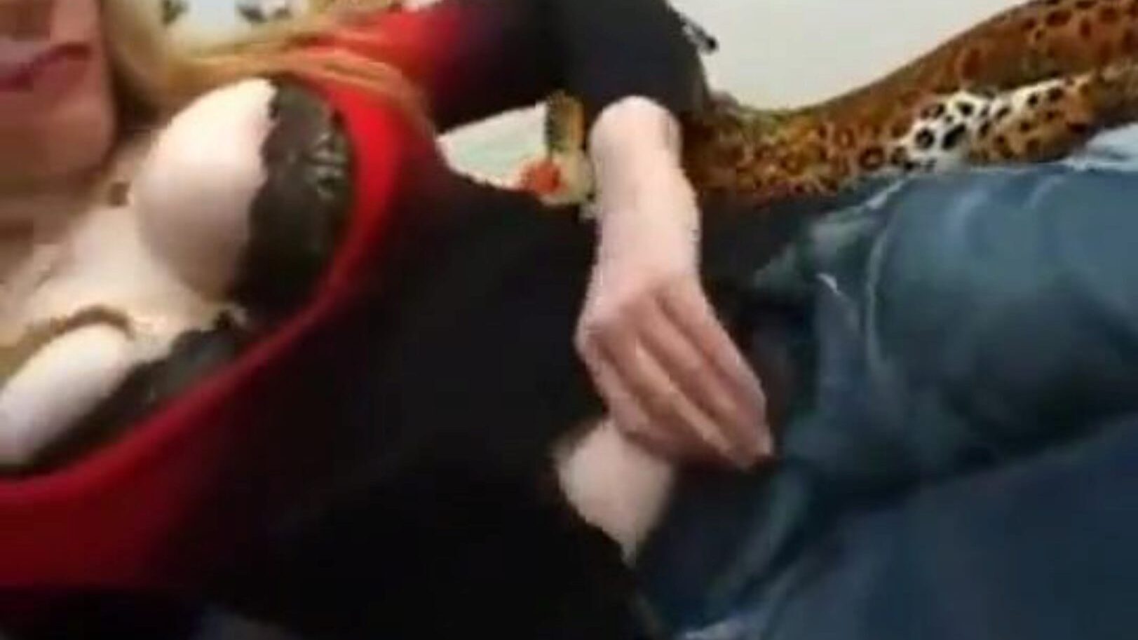zia farcita da cugino