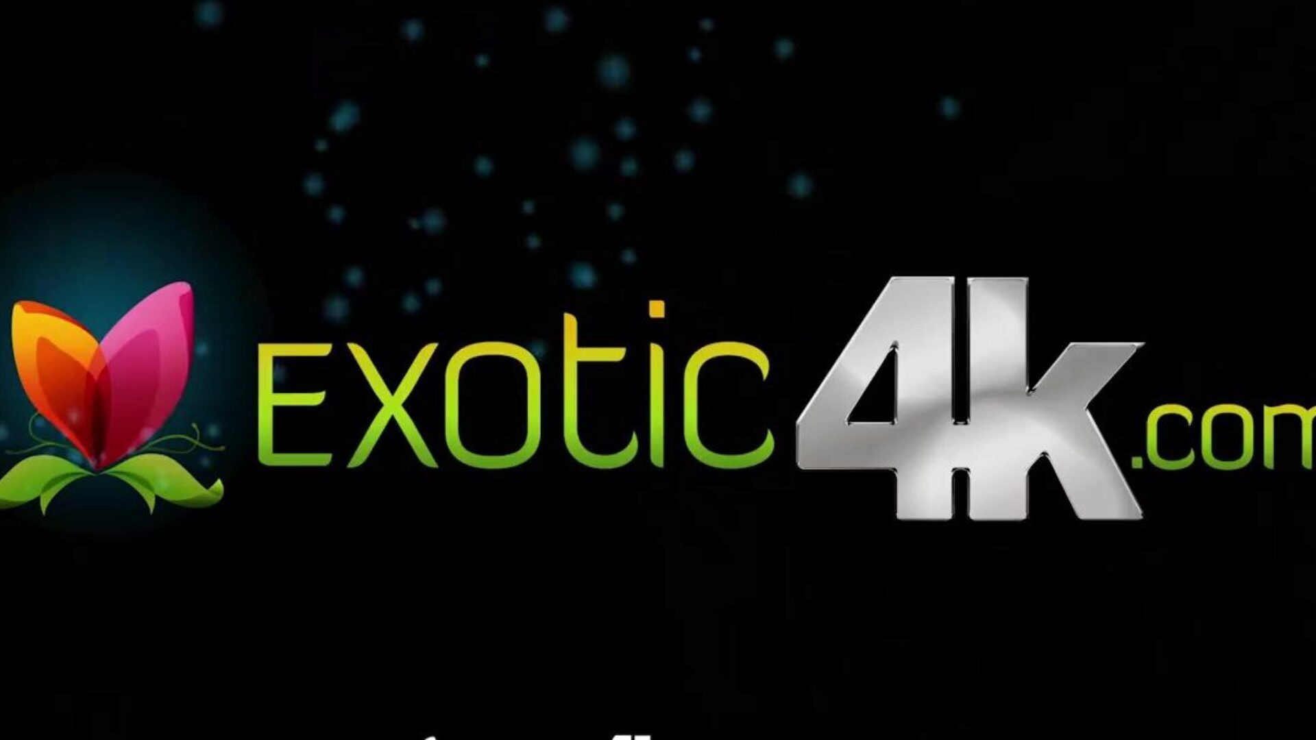 exotic4k namakanje sočne ćelave bezdlake mace zalupane egzotičnom mayom morenom